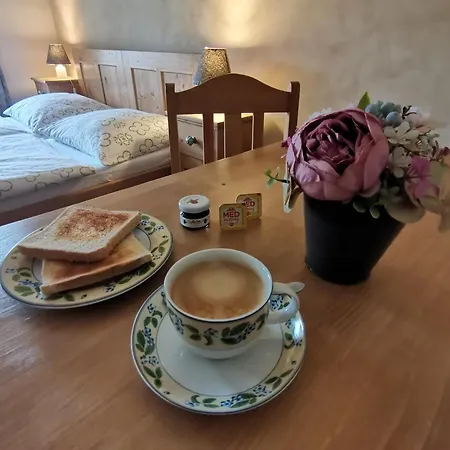 U Koudelnika Кутна-Гора